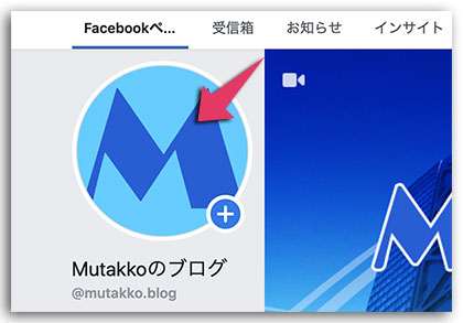 LION MEDIA カスタマイズ